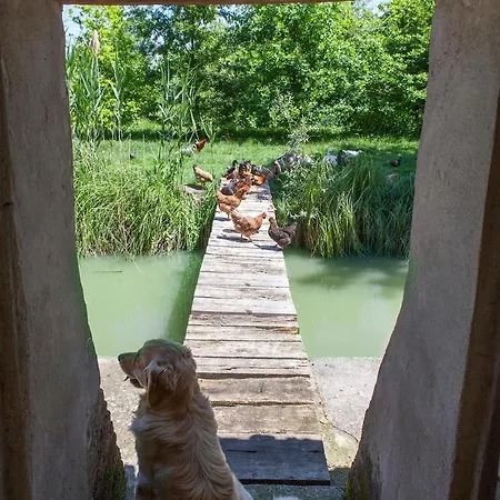 Corte Mainolda * Castellucchio