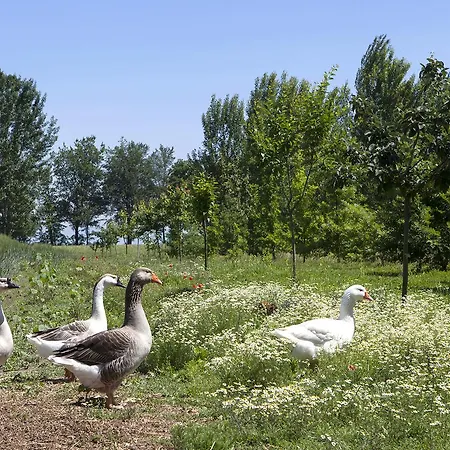 Corte Mainolda Farm stay